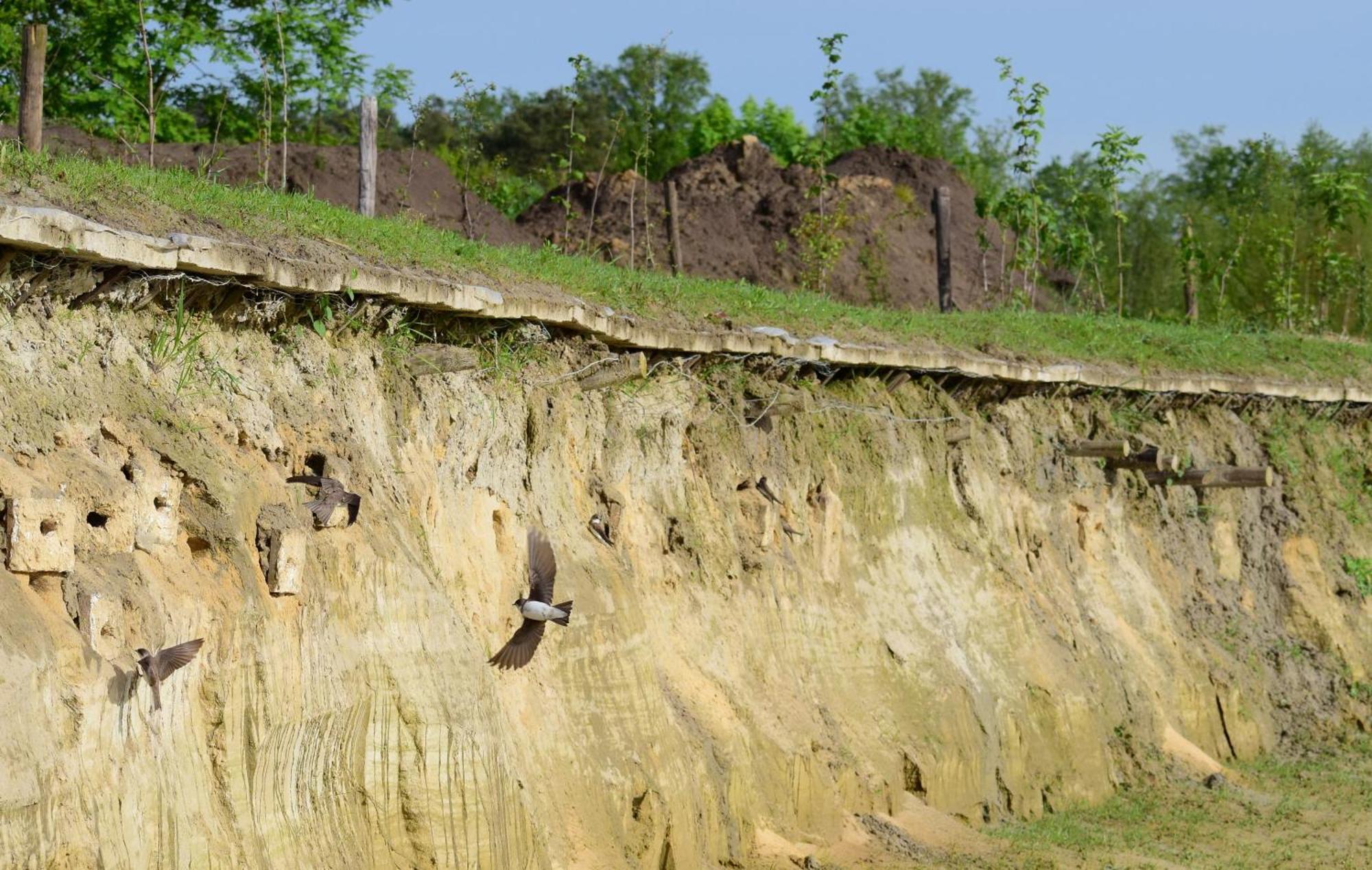 Вилла Hoeve Twente - De Buizerd Хейтуйсен Экстерьер фото
